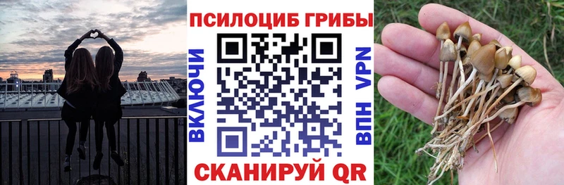 Галлюциногенные грибы мухоморы  Купить  Волоколамск 