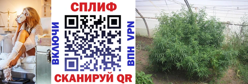 Канабис Amnesia  Купить  Волоколамск 